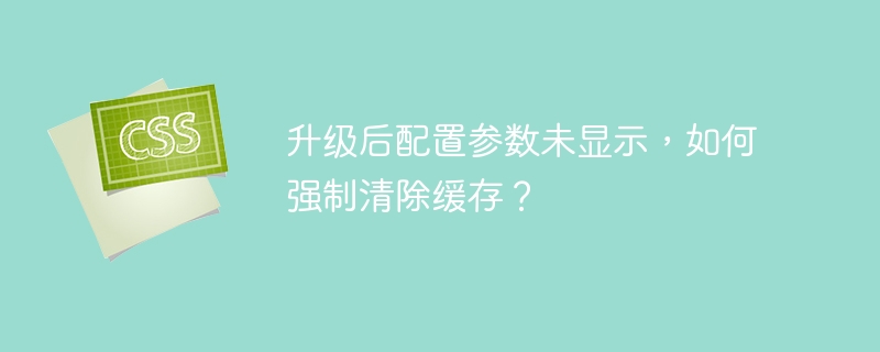 升级后配置参数未显示,如何强制清除缓存?