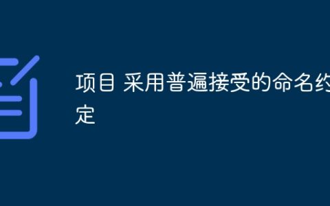 项目 采用普遍接受的命名约定