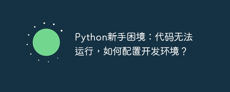 python新手困境:代码无法运行,如何配置开发环境?