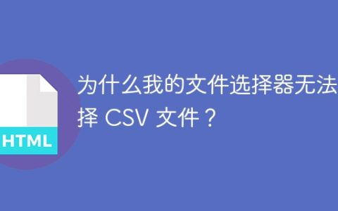 为什么我的文件选择器无法选择 CSV 文件？