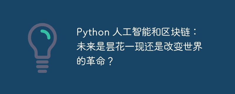 python 人工智能和区块链:未来是昙花一现还是改变世界的革命?