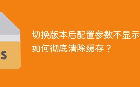 切换版本后配置参数不显示，如何彻底清除缓存？
