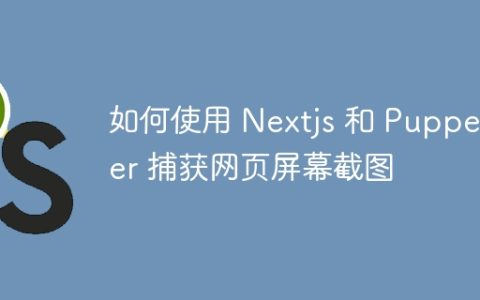 如何使用 Nextjs 和 Puppeteer 捕获网页屏幕截图