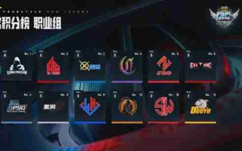 《街头篮球》UNKNOWN一骑绝尘  基本锁定FSPL职业组…