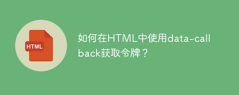 如何在HTML中使用data-callback获取令牌?