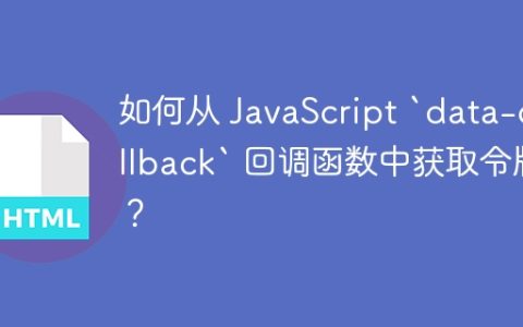 如何从 JavaScript `data-callback` 回调函数中获取令牌？