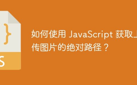 如何使用 JavaScript 获取上传图片的绝对路径？