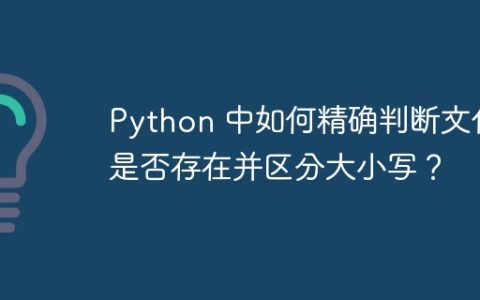Python 中如何精确判断文件是否存在并区分大小写？