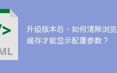 升级版本后，如何清除浏览器缓存才能显示配置参数？