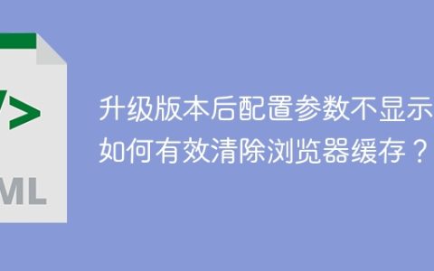 升级版本后配置参数不显示，如何有效清除浏览器缓存？