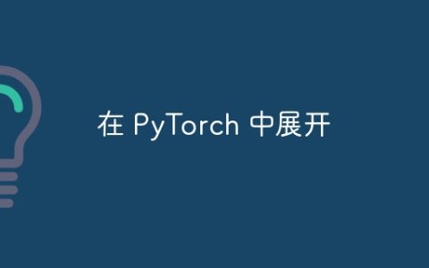 在 PyTorch 中展开