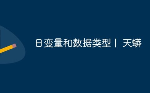日变量和数据类型 |  天蟒