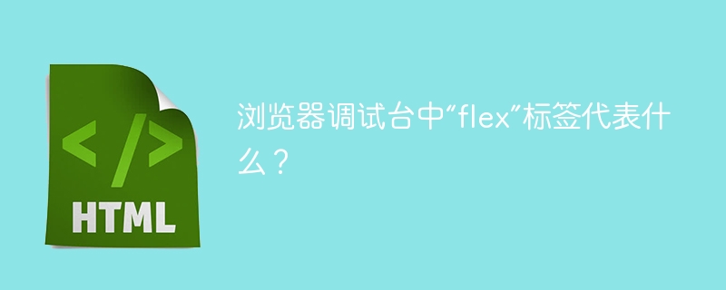 浏览器调试台中“flex”标签代表什么?