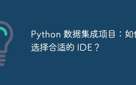 Python 数据集成项目：如何选择合适的 IDE？