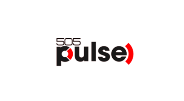 Digital Bros旗下品牌HOOK 独立发行品牌更名为 505 Pulse