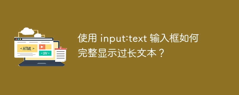 使用 input:text 输入框如何完整显示过长文本？ 