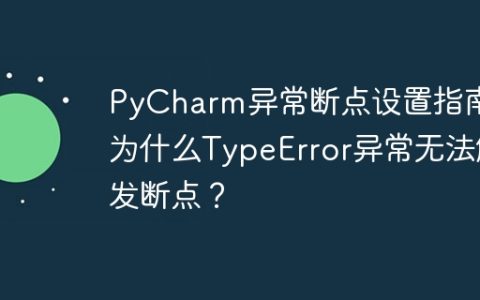 PyCharm异常断点设置指南：为什么TypeError异常无法触发断点？
