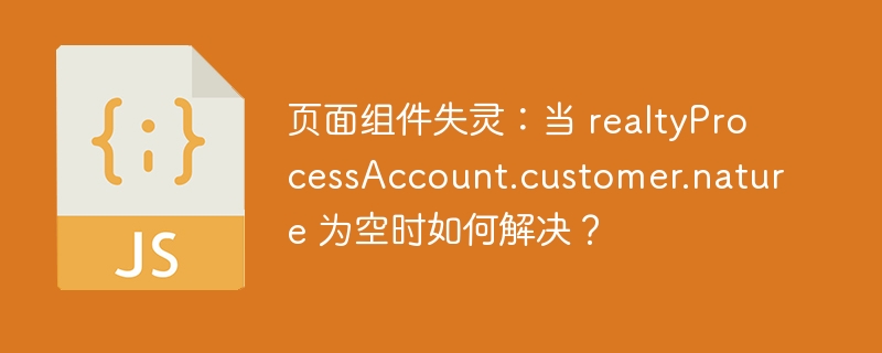 页面组件失灵:当 realtyprocessaccount.customer.nature 为空时如何解决?