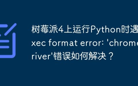 树莓派4上运行Python时遇到Exec format error: 'chromedriver'错误如何解决？
