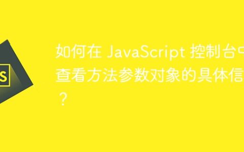 如何在 JavaScript 控制台中查看方法参数对象的具体信息？