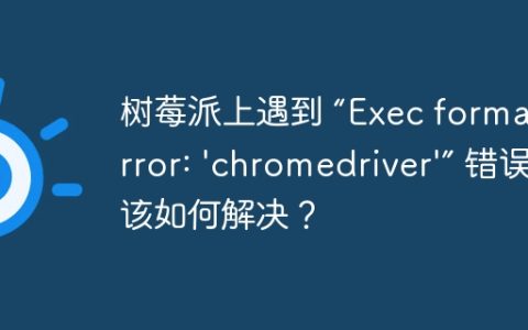树莓派上遇到 “Exec format error: 'chromedriver'” 错误该如何解决？