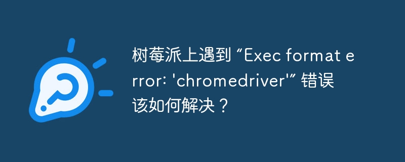 树莓派上遇到 “exec format error: 'chromedriver'” 错误该如何解决?