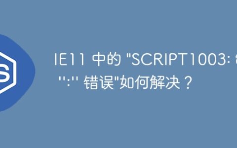IE11 中的 "SCRIPT1003: 缺少 '':'' 错误"如何解决？