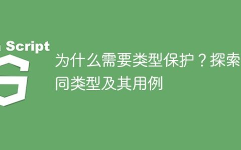 为什么需要类型保护？探索不同类型及其用例