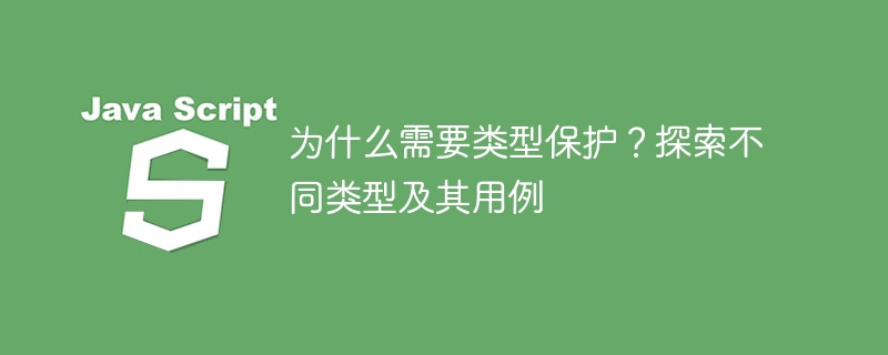 为什么需要类型保护?探索不同类型及其用例