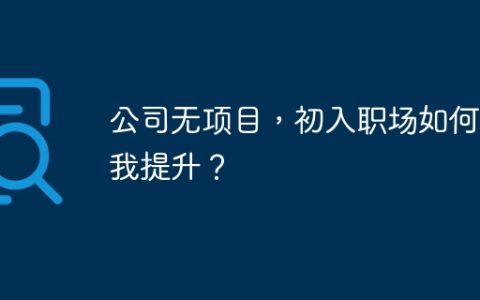 公司无项目，初入职场如何自我提升？