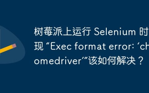 树莓派上运行 Selenium 时出现 “Exec format error: ‘chromedriver’”该如何解决？