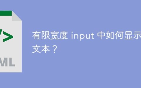 有限宽度 input 中如何显示长文本？
