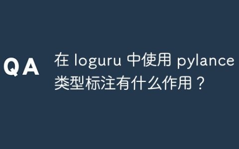 在 loguru 中使用 pylance 类型标注有什么作用？