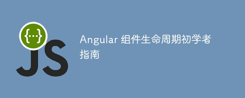 angular 组件生命周期初学者指南