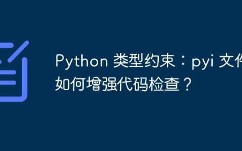 Python 类型约束：pyi 文件如何增强代码检查？
