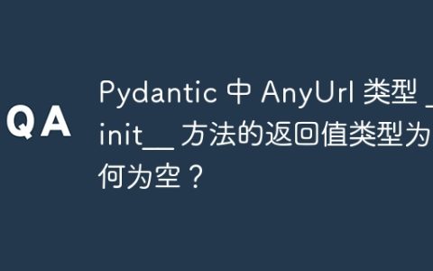Pydantic 中 AnyUrl 类型 __init__ 方法的返回值类型为何为空？