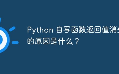 Python 自写函数返回值消失的原因是什么？