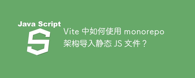 vite 中如何使用 monorepo 架构导入静态 js 文件?