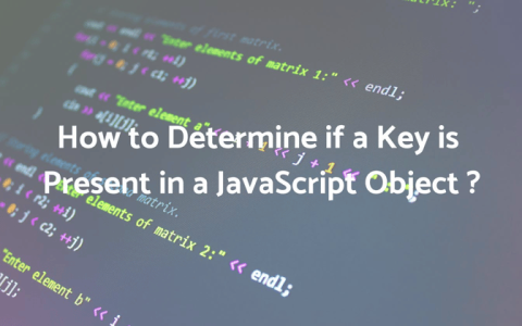如何检查 JavaScript 对象中是否存在键