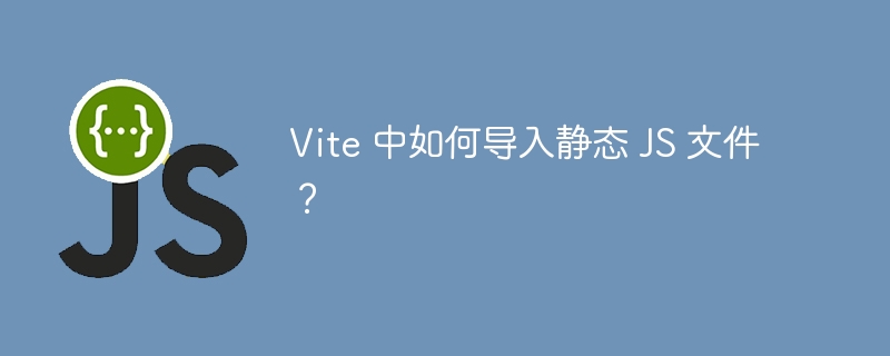 vite 中如何导入静态 js 文件?