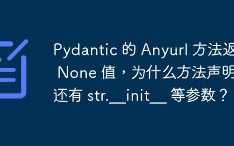 Pydantic 的 Anyurl 方法返回 None 值，为什么方法声明中还有 str.__init__ 等参数？