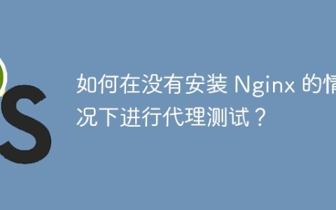 如何在没有安装 Nginx 的情况下进行代理测试？