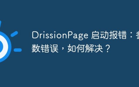 DrissionPage 启动报错：参数错误，如何解决？