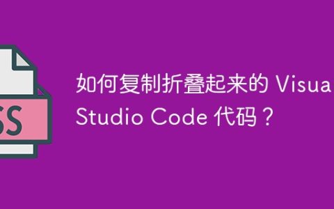 如何复制折叠起来的 Visual Studio Code 代码？
