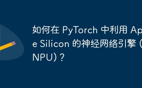 如何在 PyTorch 中利用 Apple Silicon 的神经网络引擎 (NPU)？