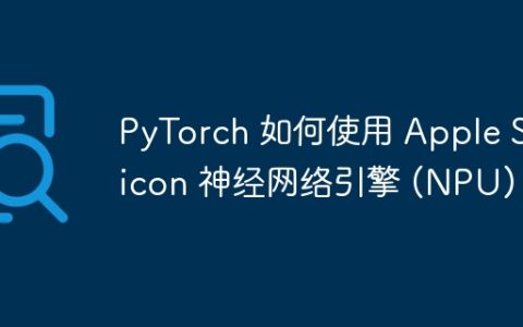 PyTorch 如何使用 Apple Silicon 神经网络引擎 (NPU)？