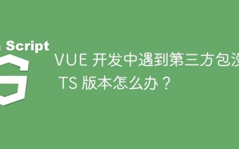 VUE 开发中遇到第三方包没有 TS 版本怎么办？