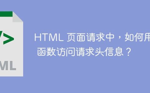 HTML 页面请求中，如何用 JS 函数访问请求头信息？