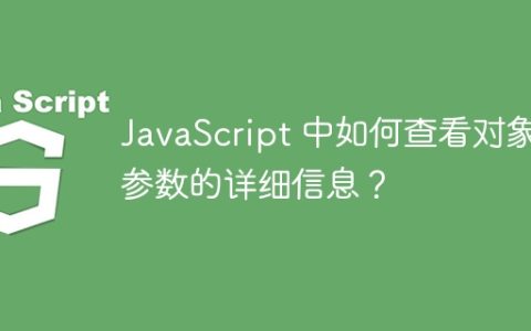 JavaScript 中如何查看对象参数的详细信息？