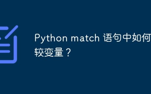 Python match 语句中如何比较变量？